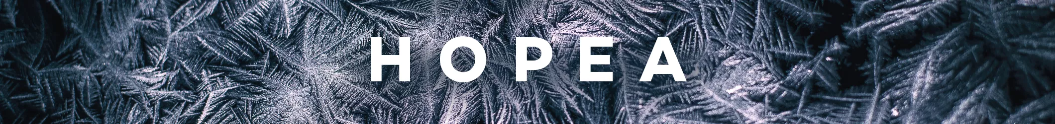 Преміальна колекція дитячого одягу Hopea